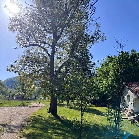 Kod Mikija Lägenhet
